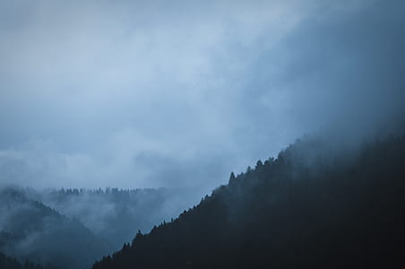 mountain with forest covered with white fog at daytime thumbnail