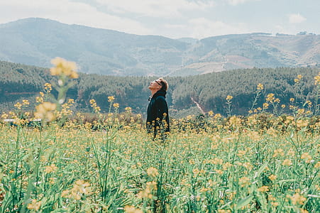 Man Standing on Yellow Rapeseed Flower Field Across Mountains thumbnail