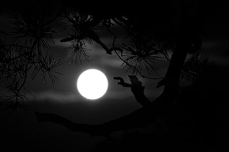 full moon scenery thumbnail
