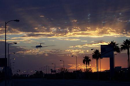 photo of airplane and trees thumbnail