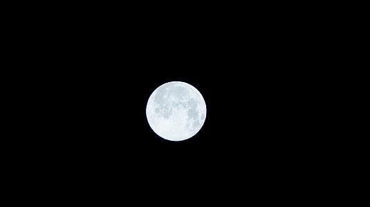 white full moon thumbnail