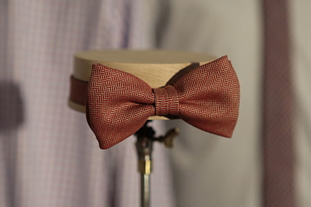 selective focus photograph of bow-accent headband thumbnail