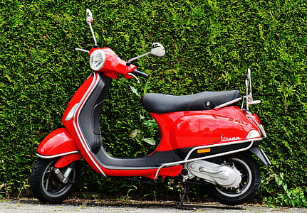 Red and Black Moped Scooter Beside Green Grass thumbnail
