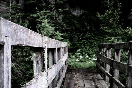 gray wooden bridge near green leafed tree thumbnail