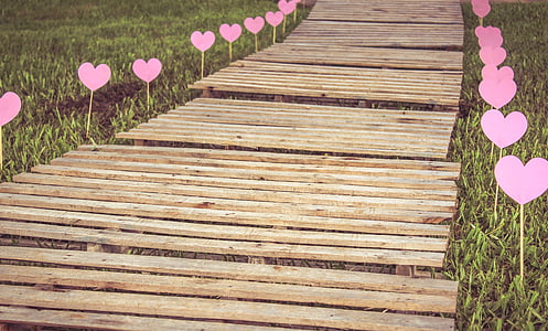 brown wooden boardwalk thumbnail