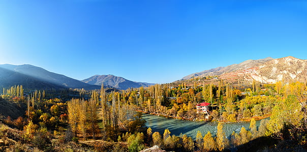 high angle photography of body of water surrounded with trees thumbnail