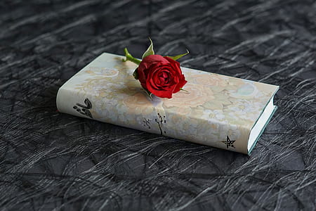 brown hardbind book with red rose on top thumbnail