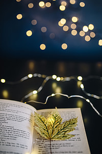 Making Magic with Fairy Lights thumbnail
