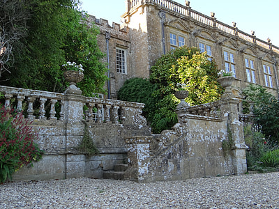 green leafed tree beside concrete castle thumbnail