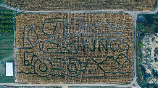 aerial shot, drone, corn maze, corn thumbnail