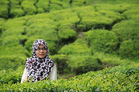 woman standing beside tea plants taken at daytime thumbnail