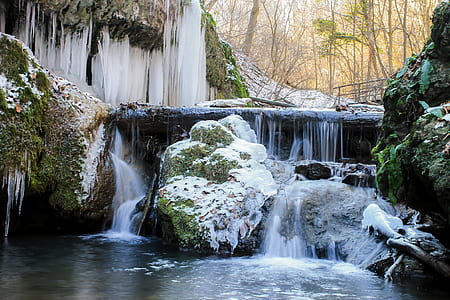 water stream near trees thumbnail
