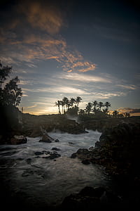 body of water between tall trees thumbnail