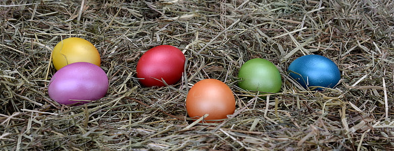 easter eggs thumbnail