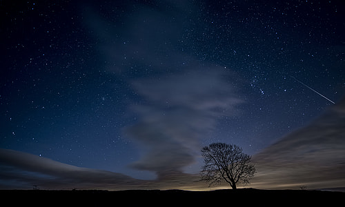 black bare tree under night sky thumbnail