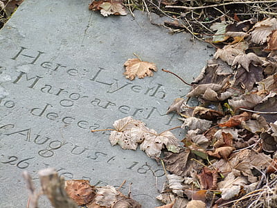 Lyerh Margarer tomb surrounded with dry leaves thumbnail