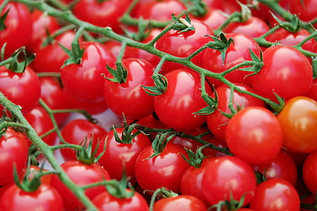 tilt shift lens photo of round red fruits during daytime thumbnail