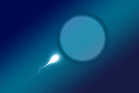 Cum, Sperm, Winner, First, sperium, competition thumbnail