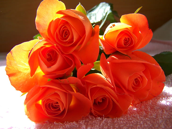 close-up photo of orange rose flowers bouquet on white textile