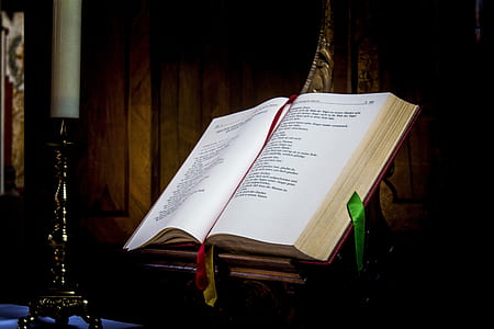 open book on shelf thumbnail
