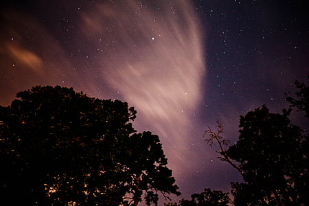 time lapsed photography of trees during night thumbnail