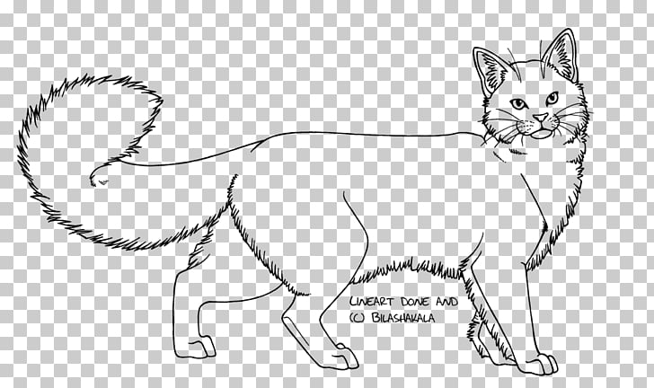 Domestic Long Haired Cat Kitten Line Art Drawing Lineart Png