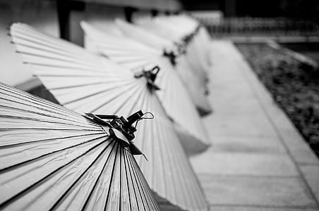grayscale photography of umbrellas on ground thumbnail