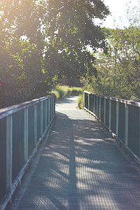 nature photography of bridge near tree at daytime thumbnail