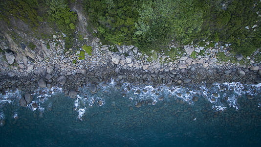 aerial photography of trees and rocks near seashore thumbnail