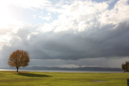 green grass during cloudy day thumbnail