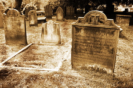 tombstones near trees thumbnail
