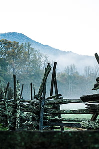 pile of logs on grass field with fogs thumbnail