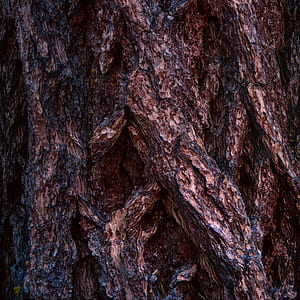 wood, rough, pattern, texture thumbnail