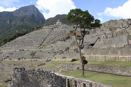 green leafed tree near brown rock formation houses thumbnail