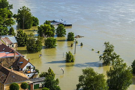 aerial view of houses and tress thumbnail