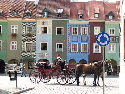 person riding in horse carriage near buildigns thumbnail