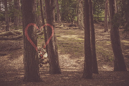 landscape, nature, heart, graffiti thumbnail