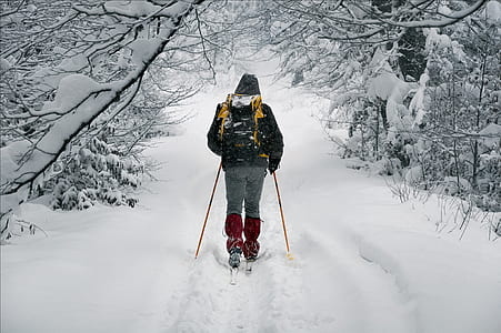person with black hooded bubble jacket walking between tree covered with white snow during daytime thumbnail