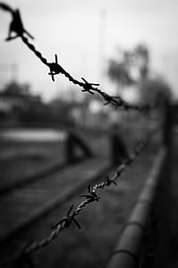 grey steel wire thumbnail