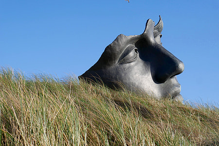 black human face statue on top of grass field thumbnail