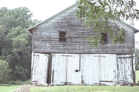 photo of gray and white wooden house near trees thumbnail