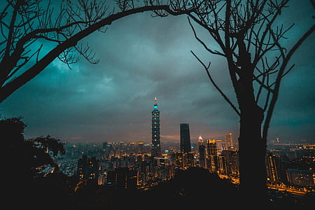 high-rise building during nighttime thumbnail