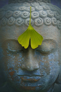 Buddha statue with green leaf thumbnail