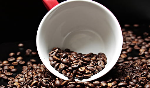 coffee beans in white mug thumbnail