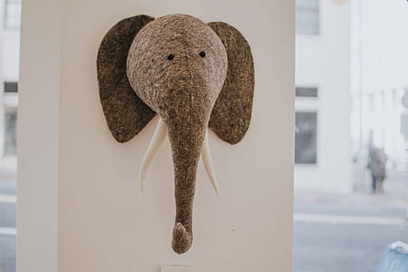 brown elephant mount thumbnail