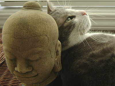 grey tabby cat leaning towards head statue thumbnail