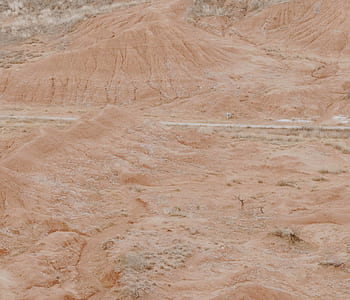 desert field thumbnail