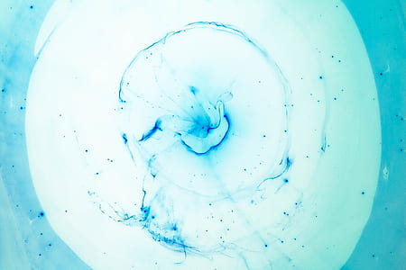 blue flower illustration thumbnail