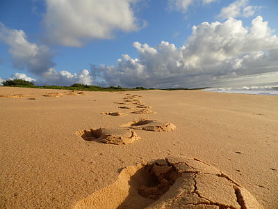 seashore under cloudy sky during daytime thumbnail