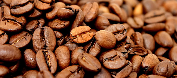 coffee beans thumbnail
